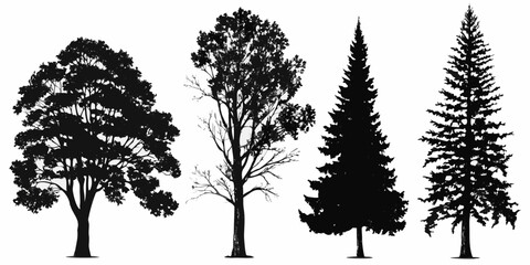 Fototapeta premium Silhouettes of four different trees against a plain white background