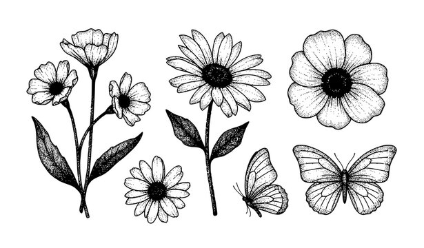A trendy vector collage set of flowers and butterflies with retro photocopy effect isolated on a solid white background. The elements feature high contrast black and white halftone shading, rough phot
