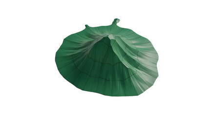 Low Poly Green Top Hat 3D Render on Black