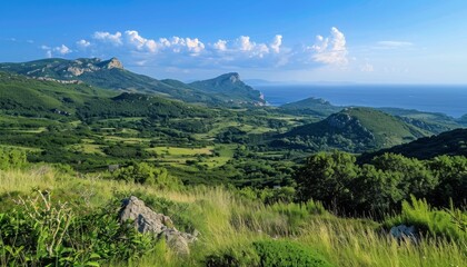 Fototapeta premium Breathtaking landscape showcasing rolling hills, lush vegetation, and a clear blue sky over a tranquil sea
