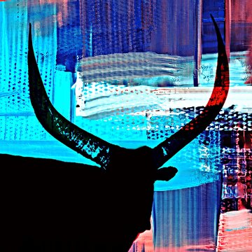 Close up of a big Ankole Cow with huge horns mixed media