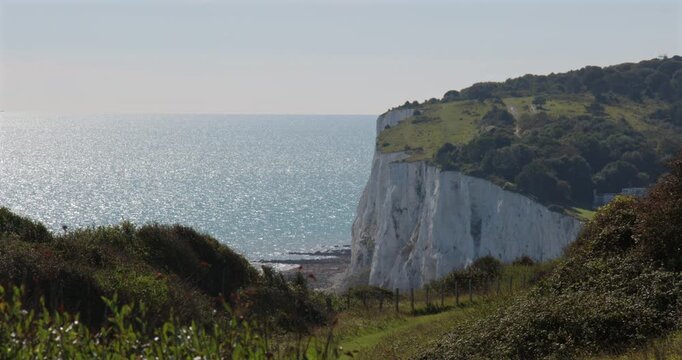 Shot of the white cliffs of Dover with trees and foliage on top and the English Channel