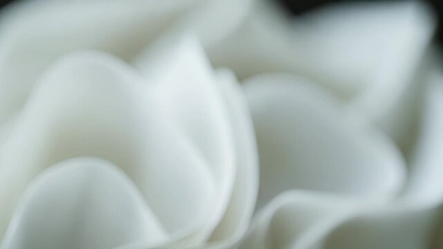 White abstract background with flowing soft curves and gentle waves, minimalist elegant design evoking serene, airy movement and subtle texture for modern desktop or wallpaper