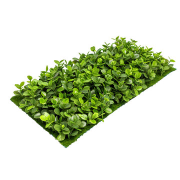 garden edging border piece isolated on pure white background 