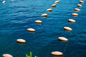 Oyster farm in Montenegro with floating buoys in clear blue water. The scene captures the aquaculture setup for oyster cultivation. © Mila