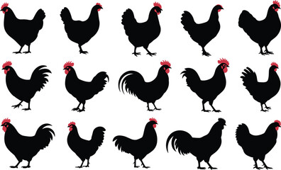 Black chicken and rooster silhouette set with red combs for poultry farm agriculture organic livestock and nature © Al