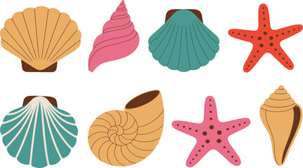 Colorful sea shells and starfish collection for summer beach vacation nautical decor and marine life nature design vector illustration © Al