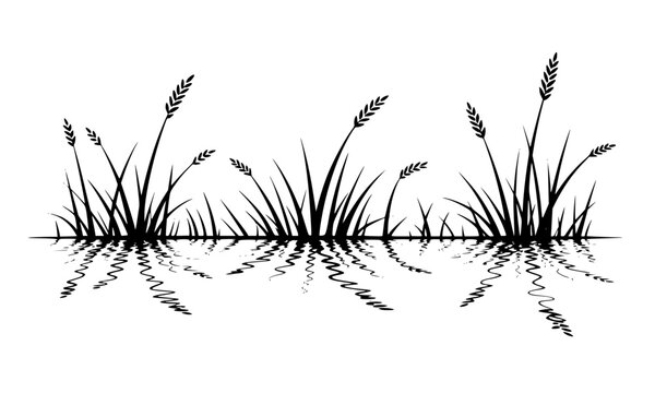Grass and wheat stalks silhouette with mirror reflection border, black nature meadow plant divider element for landscape ecology and environmental design illustration