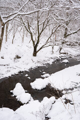 雪の覆われた川