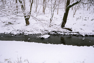 雪に覆われた川
