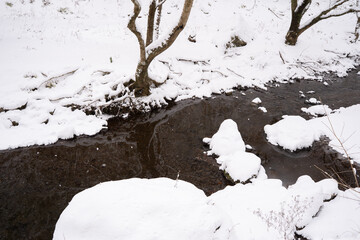 雪に覆われた川