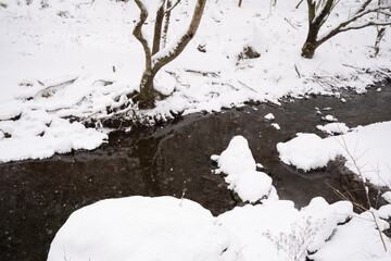 雪に覆われた川