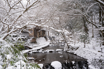 雪に覆われた川