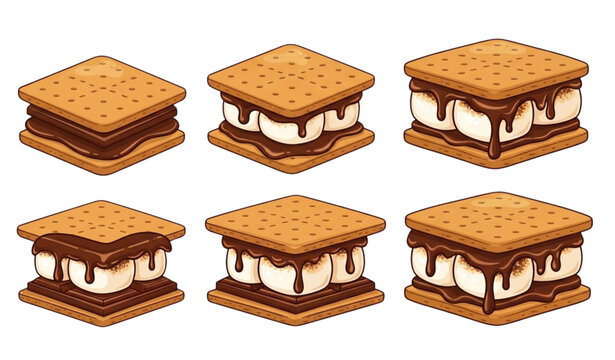 American smore graham cracker sandwich dessert vector