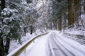 雪降り積もる道