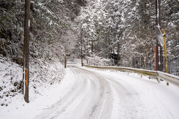 雪降り積もる道