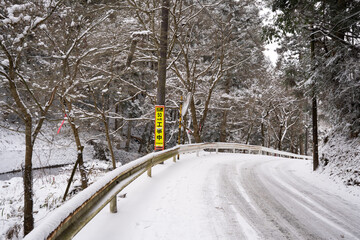 雪の降り積もった道
