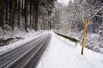 雪の降り積もった道