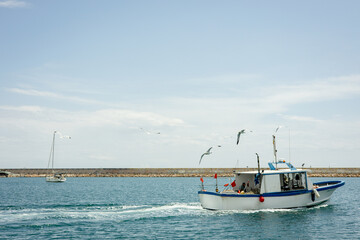 Obraz premium Boats sailing on calm sea with seagulls flying under blue sky during daytime