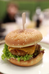 Hamburger on white plate