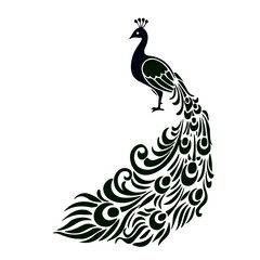 Fototapeta premium Peacock vector illustration with colorful feathers and cartoon style bird design