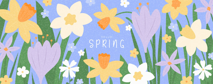 Beautiful background Hello Spring. Trendy vector illustration with spring blooming flowers crocuses, daisies, narcissus. Floral background for design seasonal holiday, ads, branding, cover, card.