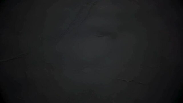 Animation video of National Hamburger Day typography background