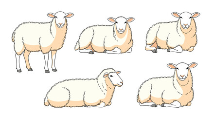 Obraz premium A collection of cute cartoon sheep illustrations in various poses, including standing and resting, on a white background.