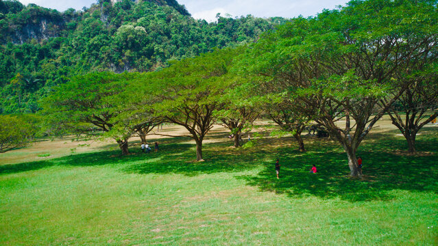 Chamchuri Tree Park in Bo Saen, Phang Nga, Thailand