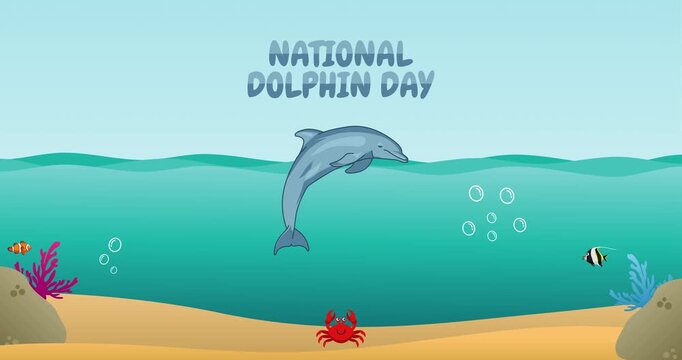 national dolphin day motion video, ideal for national dolphin day celebration