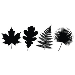 Set of 4 Black Leaf Silhouettes Vector
