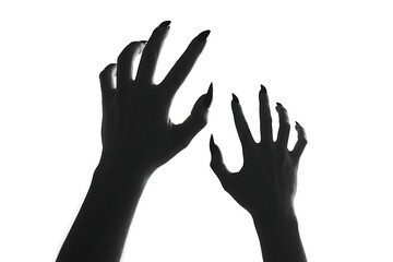 Obraz premium Dramatic Silhouette of Creepy Hands with Long Pointed Nails Reaching Out Against a Pure White Background