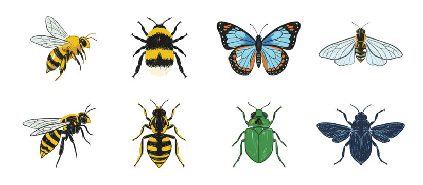 A collection of eight different insects, including bees, a bumblebee, a butterfly, a moth, a wasp, and two beetles, displayed against a white background.