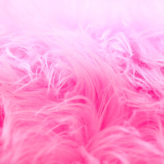 A close-up view of a vibrant pink fluffy textured surface
