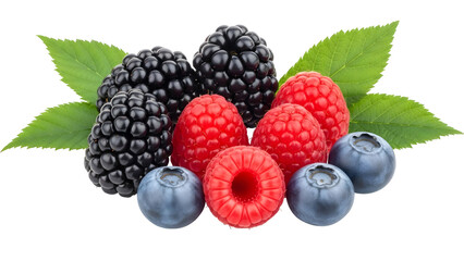 Fresh Mixed Berries Blackberries Raspberries Blueberries Leaves