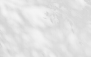 Obraz premium White cement wall background with natural leaf shadow overlay for graphic design