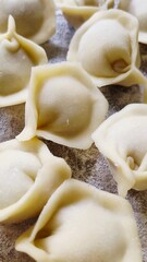 Top view of raw homemade dumplings pelmeni on a wooden board with flour.