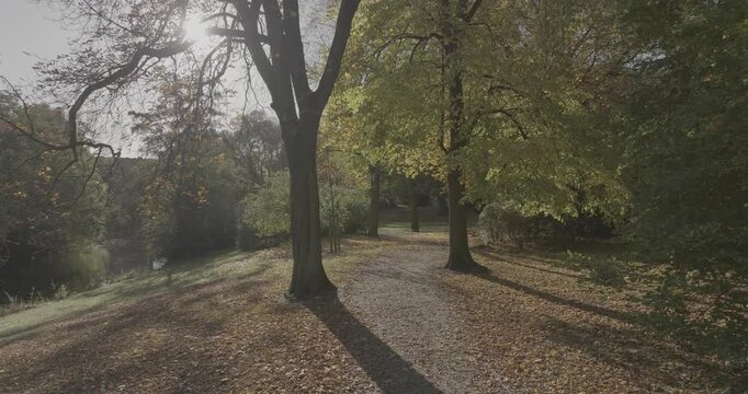 Flug durch Park mit Drohne im Herbst