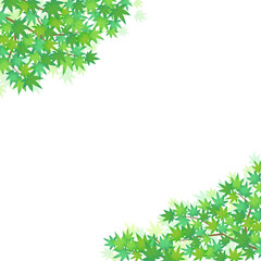 Fototapeta premium 緑のもみじフレーム4_正方形