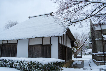 茅葺屋根の雪景色
