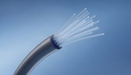 Optical fiber cable for high speed internet connection. Modern data transmission technology. Digital communication network concept.