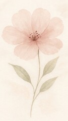 Fototapeta premium Delicate watercolor flower art mobile wallpaper
