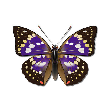 ~ai-38cf25c1-b54b-49d8-b2c4-a2952b339e08_