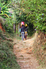 Obraz premium La corvée d'eau dans un village à Madagascar