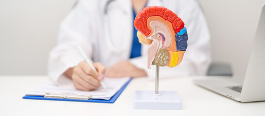 Doctor with human Brain anatomy model. World Brain Tumor day, Brain Stroke, Dementia, alzheimer,...