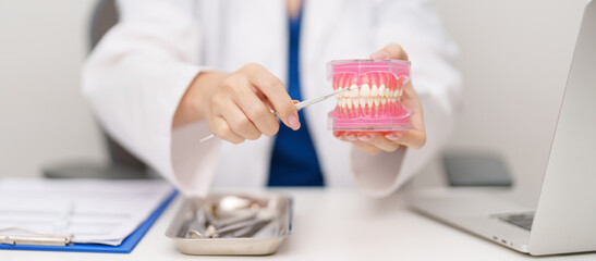 Dentist with tooth Anatomy model. Oral Teeth and disease, Scrape off tartar. March Oral health,...