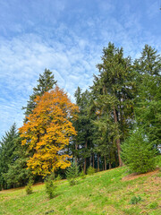 Autumn Colors in Washington Park