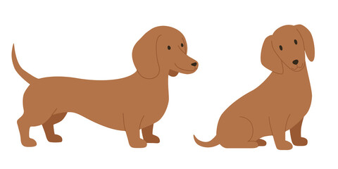 Naklejka premium Standing and sitting brown dachshund dog, side view. Flat color Illustration on a transparent background