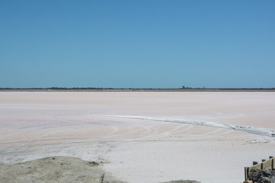 Marais salant d'Aigues Mortes - Gard - Occitanie - France