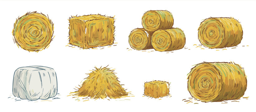 A detailed illustration showcasing various types of hay, including round bales, square bales, a silage bale, and a pile of loose hay.